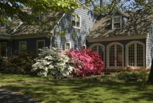 Learn how trees and shrubs can reduce your energy bills year 'round!