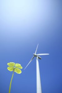 Looking for a new cheap electricity rate on St. Patrick's Day that only uses 100 renewably sourced electricity? Switch to a cheap renewable electricity plan in Houston!