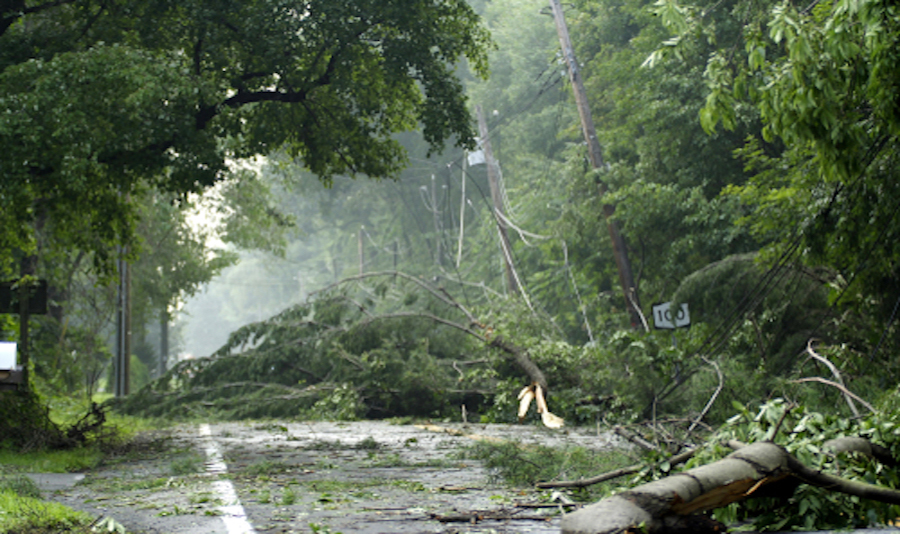 During a Texas summer, power outages due to storms can be common. But worse situations can happen, too. Find out how to report one and how it can help restore your power sooner.