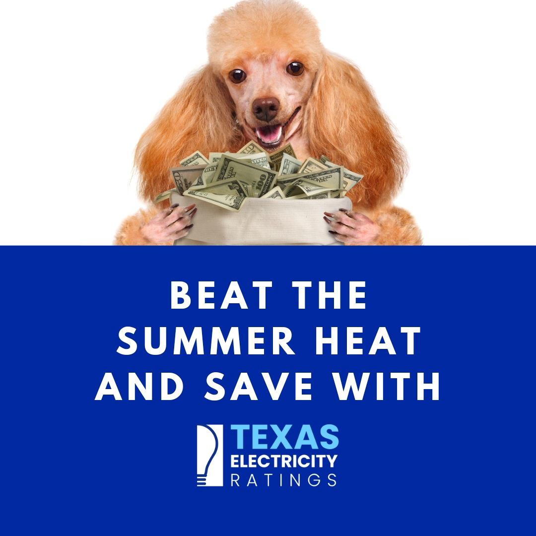 Compare Best Abilene 12 Month Rates - Blog