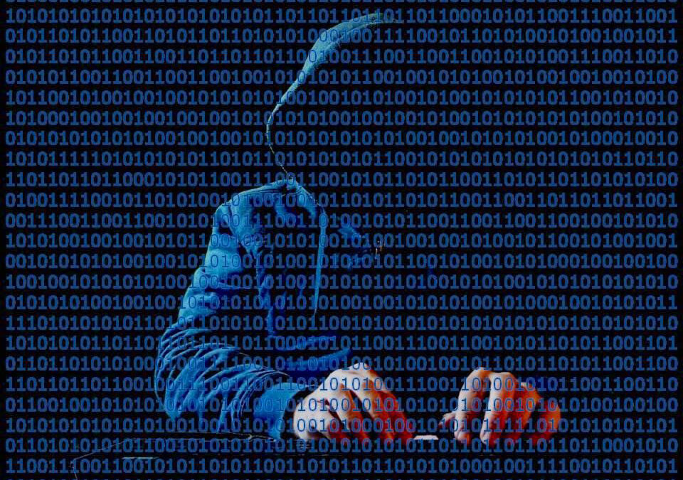 Are Your Texas Business Appliances Safe From Hackers?