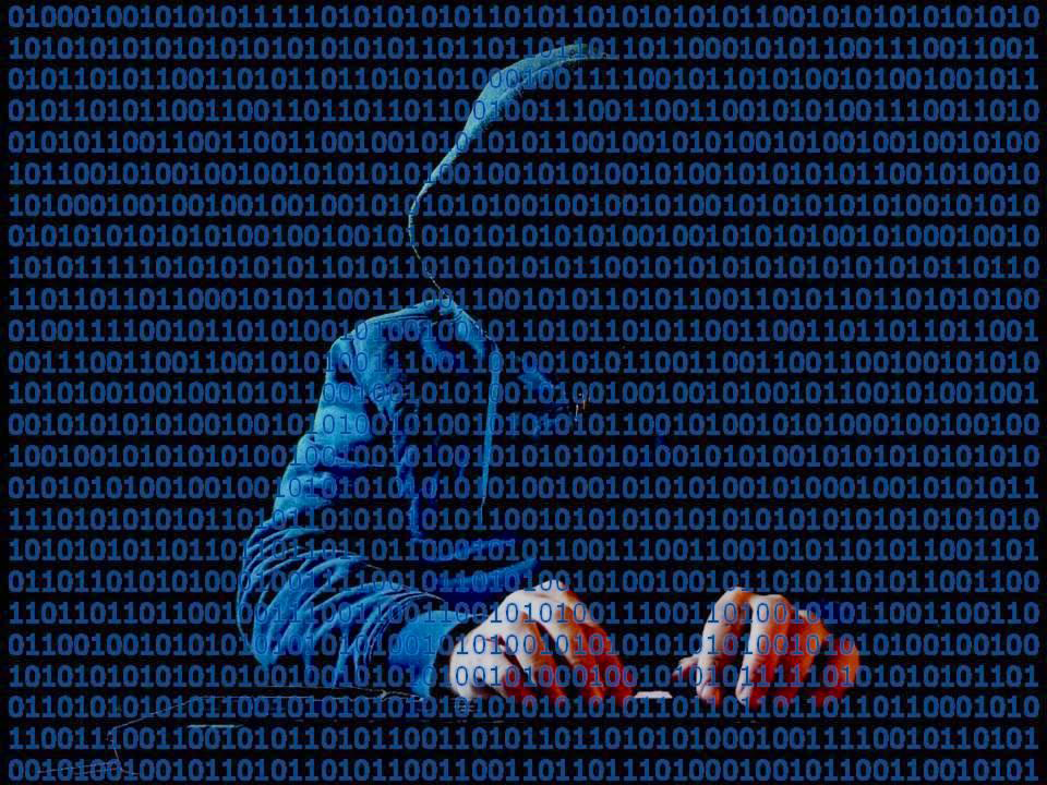 Learn to Keep Hackers Out of Your Texas Business Appliances Smart appliances not only bring convenience but also risks to your Texas business. Learn ways to stop hackers from taking over your equipments.