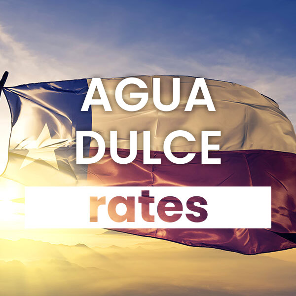 cheapest Electricity rates and plans in Agua Dulce texas
