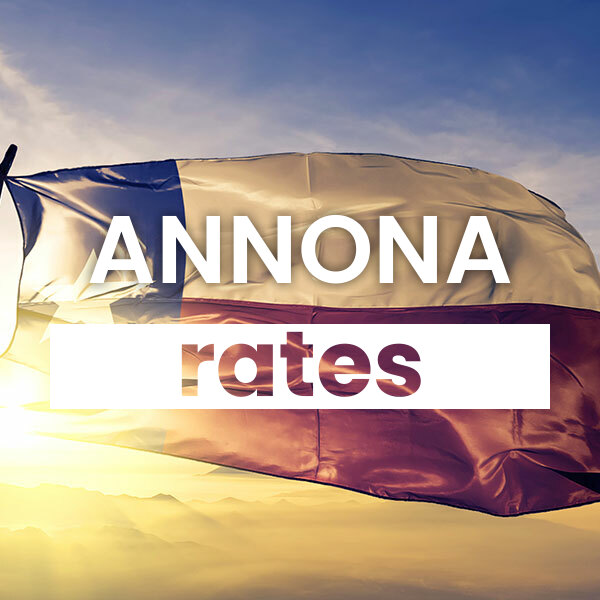 Compare the best Electricity rates and plans in Annona texas