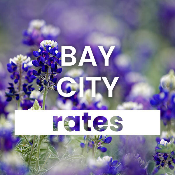 cheapest Electricity rates and plans in Bay City texas