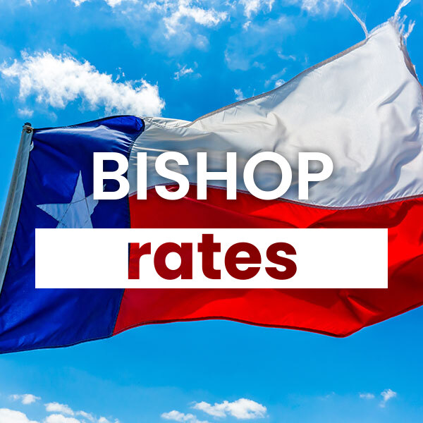 cheapest Electricity rates and plans in Bishop texas