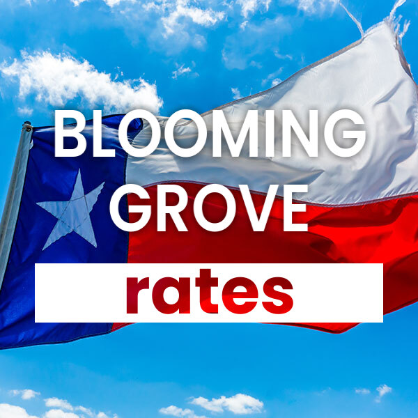 cheapest Electricity rates and plans in Blooming Grove texas