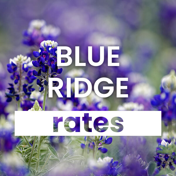 cheapest Electricity rates and plans in Blue Ridge texas