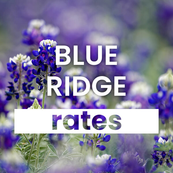 Compare the best Electricity rates and plans in Blue Ridge texas