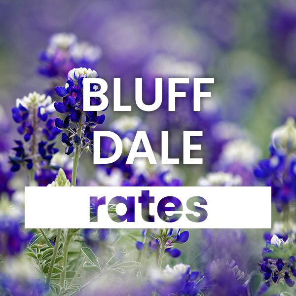 Compare the best Electricity rates and plans in Bluff Dale texas