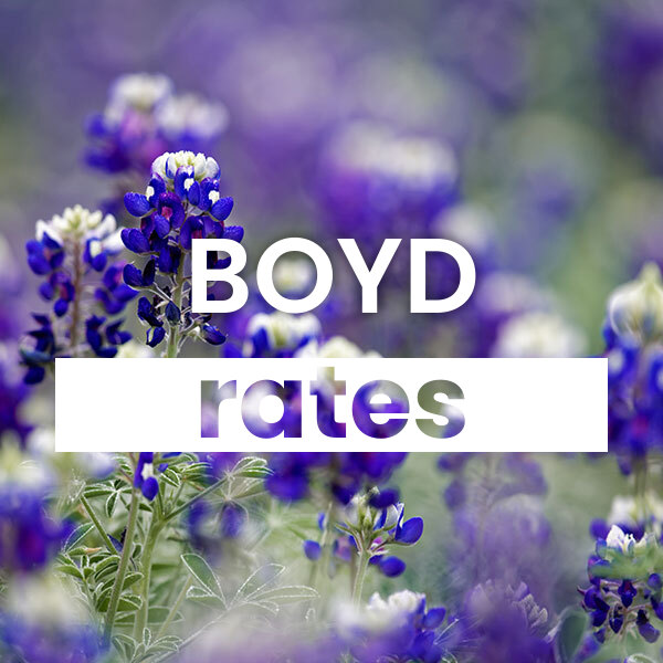 cheapest Electricity rates and plans in Boyd texas