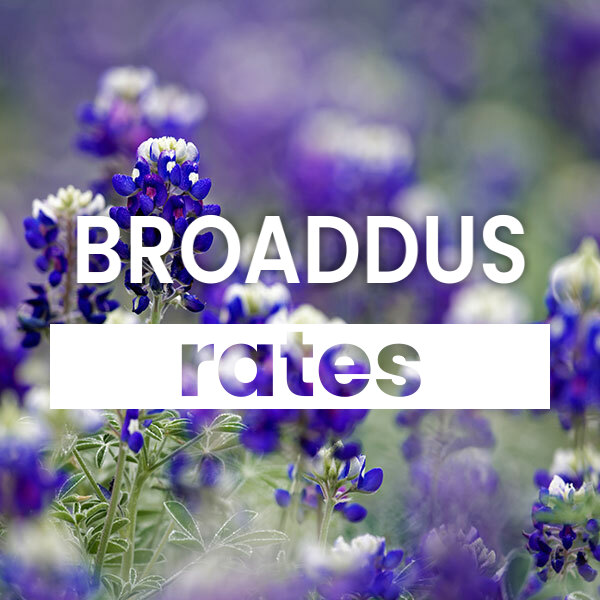 cheapest Electricity rates and plans in  texas