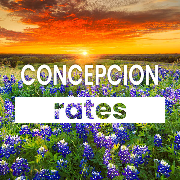 cheapest Electricity rates and plans in Concepcion texas