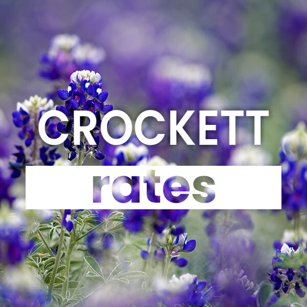 cheapest Electricity rates and plans in Crockett texas