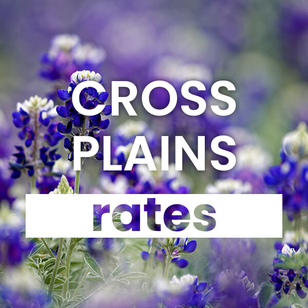 cheapest Electricity rates and plans in Cross Plains texas