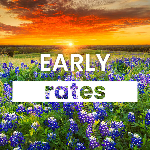 Compare the best Electricity rates and plans in Early texas