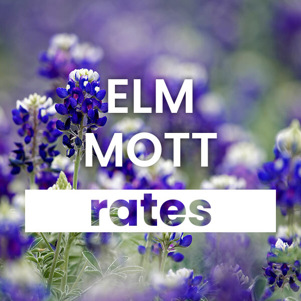 cheapest Electricity rates and plans in  texas