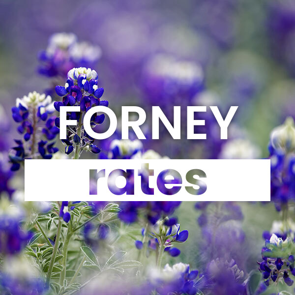 cheapest Electricity rates and plans in Forney texas