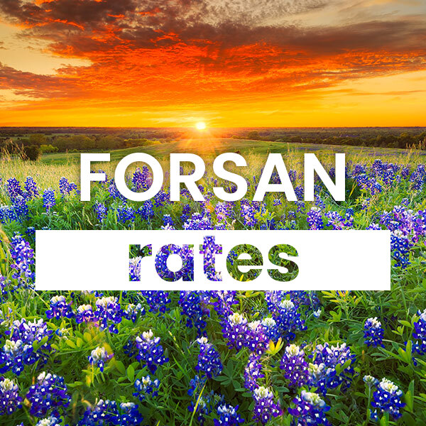 cheapest Electricity rates and plans in Forsan texas