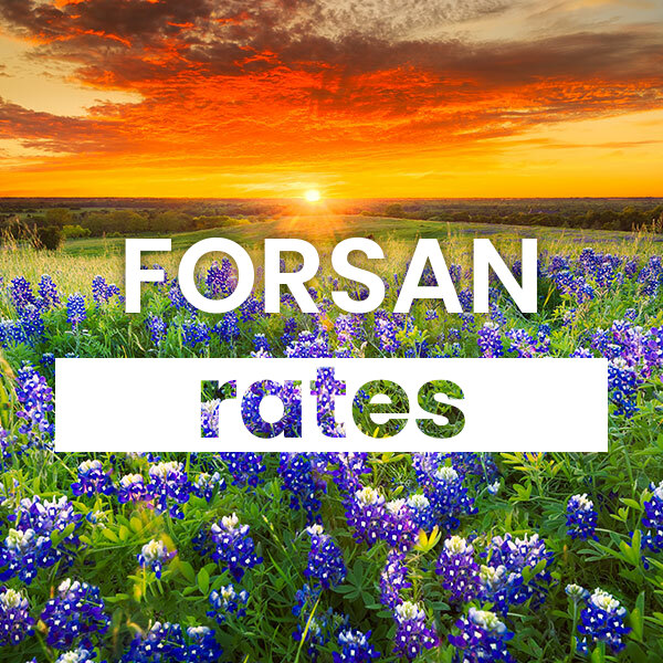 Compare the best Electricity rates and plans in Forsan texas