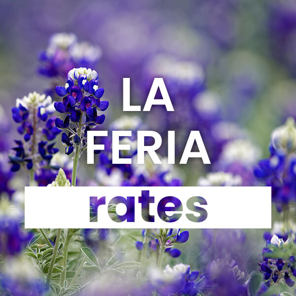 cheapest Electricity rates and plans in La Feria texas