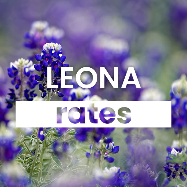 cheapest Electricity rates and plans in Leona texas