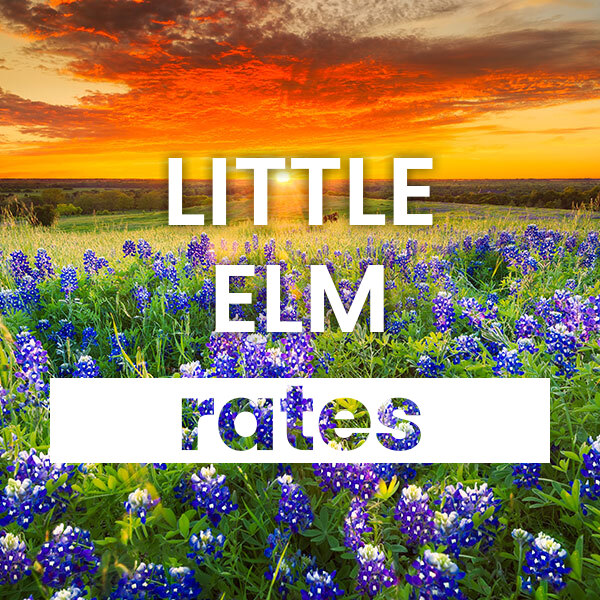 cheapest Electricity rates and plans in Little Elm texas