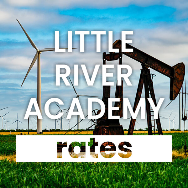 cheapest Electricity rates and plans in Little River Academy texas