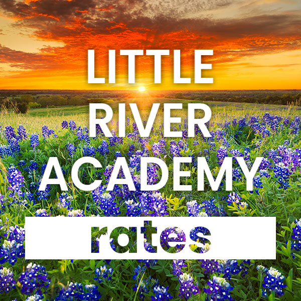 Compare the best Electricity rates and plans in Little River Academy texas
