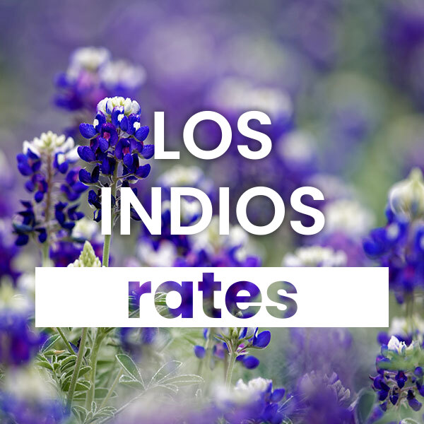 cheapest Electricity rates and plans in Los Indios texas