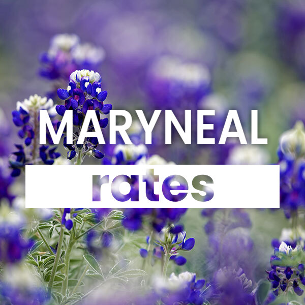 cheapest Electricity rates and plans in Maryneal texas