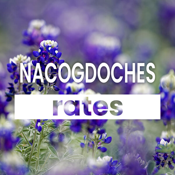 cheapest Electricity rates and plans in Nacogdoches texas