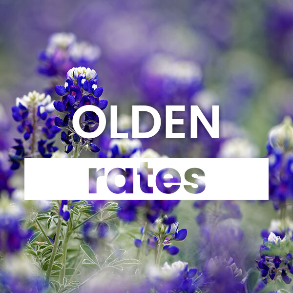 cheapest Electricity rates and plans in Olden texas
