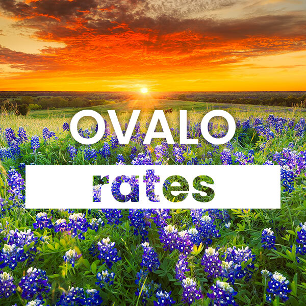 Compare the best Electricity rates and plans in Ovalo texas