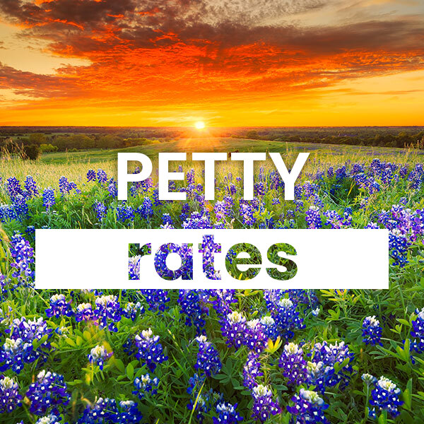 cheapest Electricity rates and plans in Petty texas