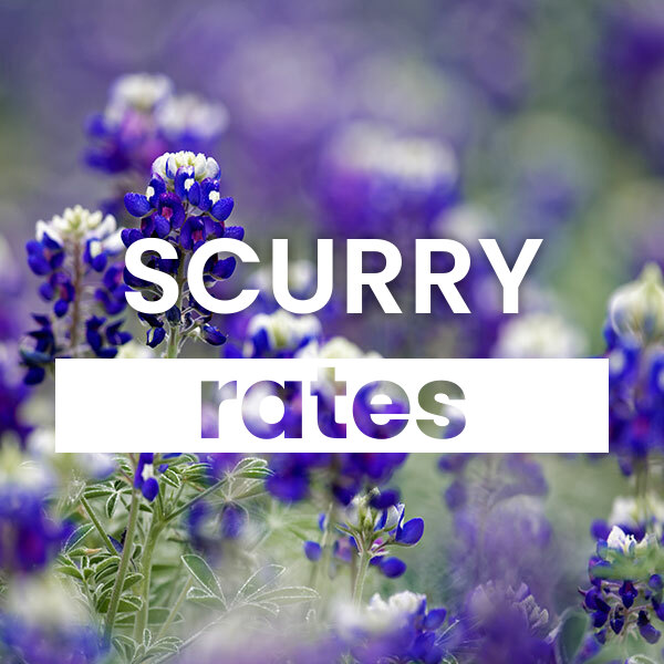 cheapest Electricity rates and plans in texas