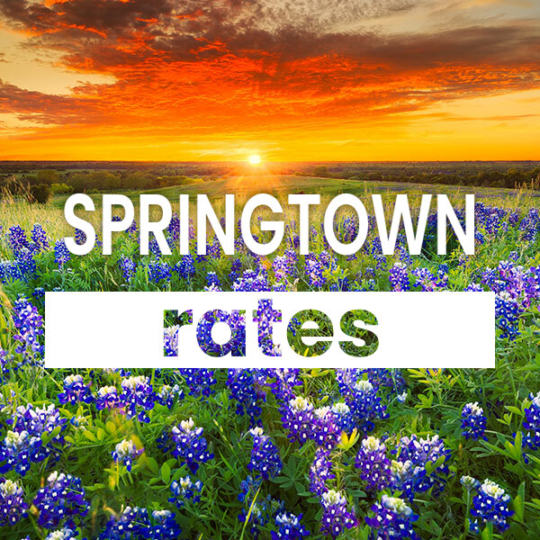 Compare the best Electricity rates and plans in Springtown texas