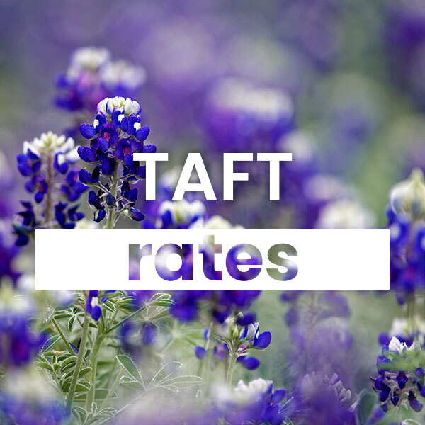 cheapest Electricity rates and plans in Taft texas