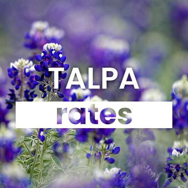 Compare the best Electricity rates and plans in Talpa texas