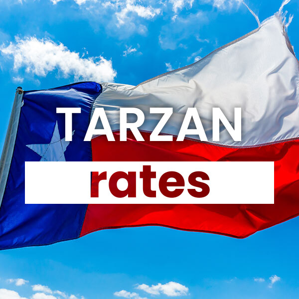 cheapest Electricity rates and plans in Tarzan texas