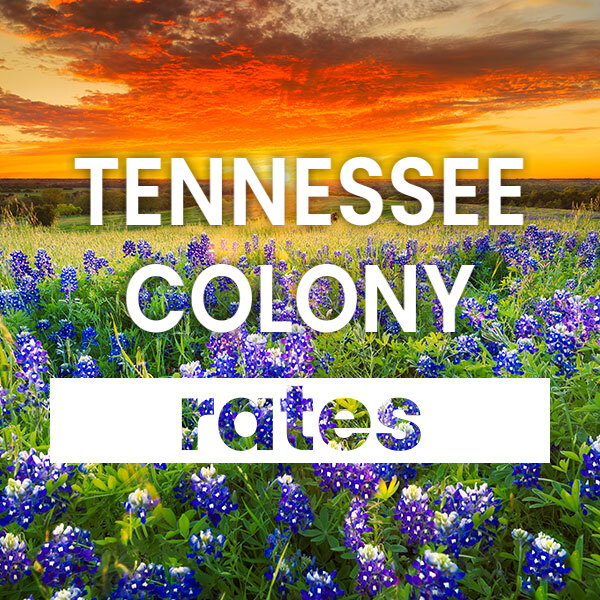 Compare the best Electricity rates and plans in Tennessee Colony texas
