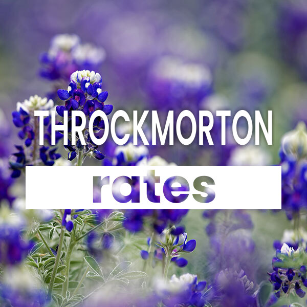 cheapest Electricity rates and plans in Throckmorton texas