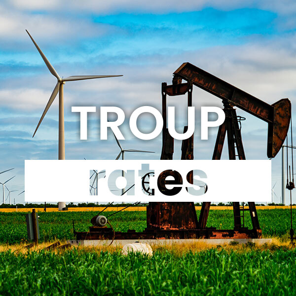cheapest Electricity rates and plans in Troup texas