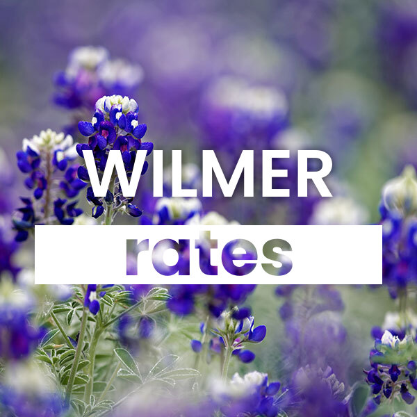 cheapest Electricity rates and plans in Wilmer texas