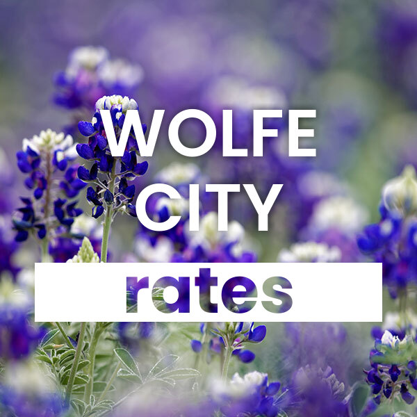 cheapest Electricity rates and plans in Wolfe City texas
