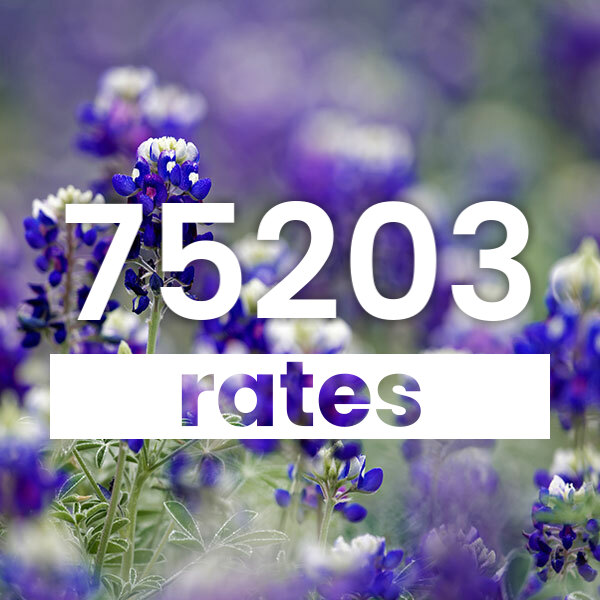 Electricity rates for Dallas 75203 Texas