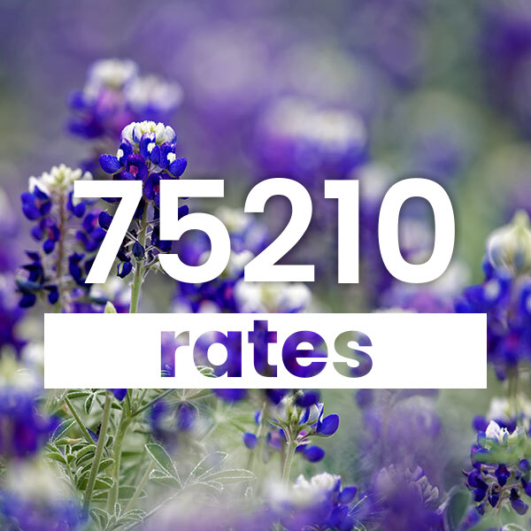 Electricity rates for Dallas 75210 Texas