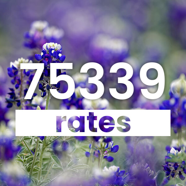 Electricity rates for Dallas 75339 Texas