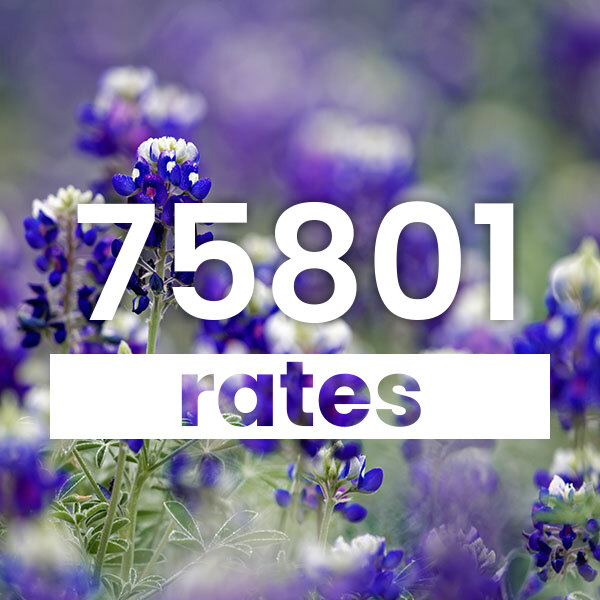 Electricity rates for Palestine 75801 Texas