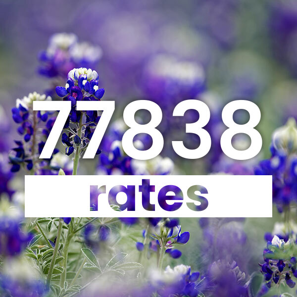 Electricity rates for Chriesman 77838 Texas